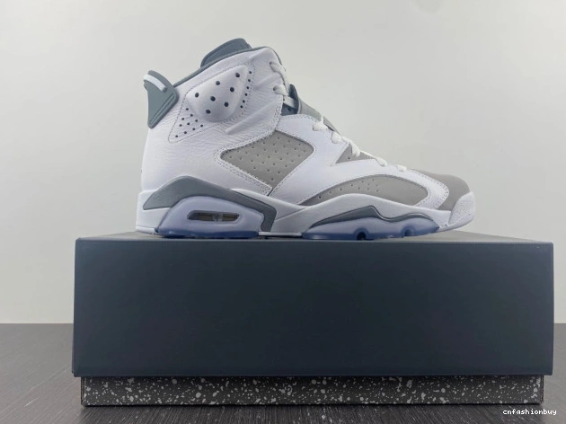 Jordan Grey Cool 6 Air CT8529-100 1031